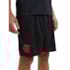 Bermuda Flamengo Braziline Brotar Masculina