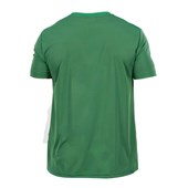 Camisa Palmeiras Porco Plus Size SPR Masculina