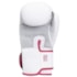 Luva de Boxe Pretorian First FX2 Unissex