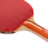 Raquete Tênis de Mesa Vollo Impulse V VT604-5